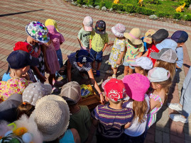 В поисках шляпных сокровищ. В поисках шляпных сокровищ.